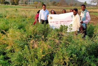 Crop research program organized in BAU ranchi