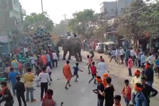 siwan elephant attack video