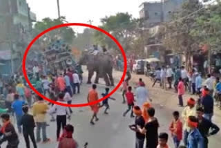 Elephant creates havoc  Elephant creates havoc in Shivan  Shivan news  Bihar elephant news  Maharajganj elephant news  Elephant  ആന നാശനഷ്‌ടം സൃഷ്‌ടിച്ചു  ശിവൻ വാർത്ത  ശിവരാത്രി ദിനത്തിലെ ആഘോഷം  മഹാരാജ്‌ഗഞ്ച് ക്ഷേത്ര വാർത്ത