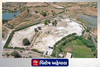 ભુજના કુકમા ગામમાં ગટરના પાણીમાંથી 60 હજાર જેટલા વૃક્ષોનું વાવેતર કરાયું