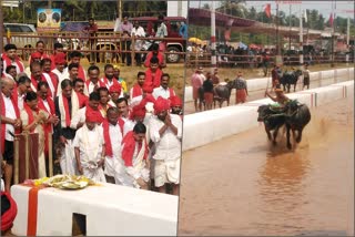 Putturu Koti-Chennaya Jodukare Kambala