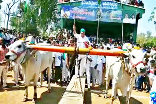 state level bull race competitions at mahanadi