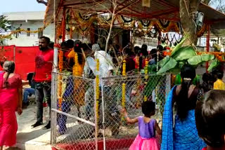 Maha Shivaratri celebrations in Nizamabad district