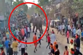 Elephant creates havoc in Bihar