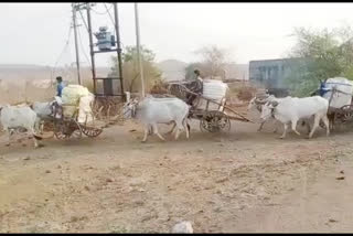 water scarcity in yavatmal