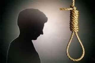 commit suicide in dungarpur  dungarpur news  पत्नी के नाते चले जाने से खफा पति  डूंगरपुर न्यूज  पति ने की खुदकुशी  Husband committed suicide  बोरतलाई गांव डूंगरपुर  Bortalai Village Dungarpur