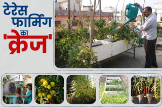 Terrace Farming in Patna