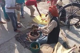 Snake charmer in shiva temple