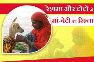 mother-daughter relationship between reshma and deer of panipat