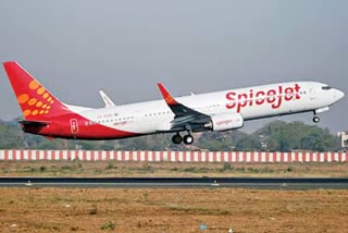 Spice jet domestic service  spice jet news in malayalam  സ്പൈസ്ജെറ്റ് സർവീസ്  സ്പൈസ് ജെറ്റ് അധിക സർവീസുകൾ നടത്തും