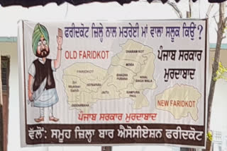 ਤਸਵੀਰ