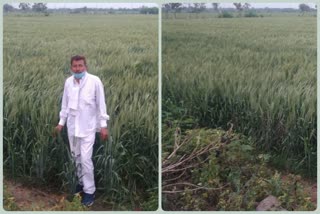 bakkarwala farmers against to agricultural bill in delhi