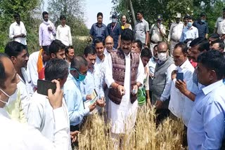 minister-govind-singh-inspected-crops-in-sagar