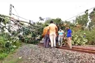 গাছ ভেঙে পড়ায় 2 ঘণ্টা শিয়ালদা-বনগাঁ শাখার ট্রেন পরিষেবা ব্যাহত