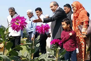 گلستان سرسید میں خوبصورت پھولوں کی نمائش