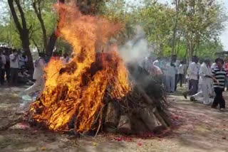 નવા સૂર્ય નારાયણ મંદિર