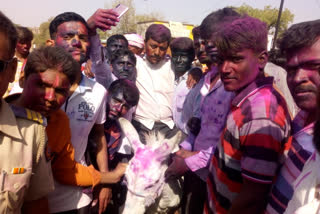 Corona breaks the annual donkey procession tradition in beed