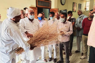 Minister Om Prakash Yadav crop compensation
