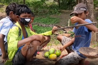 kids forced to sell mangoes, ఝార్ఖండ్​ జాదుగోరా వార్తలు