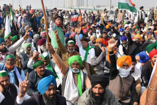 Protesting farmers conspiring to spread bird flu by consuming chicken biryani BJP MLA