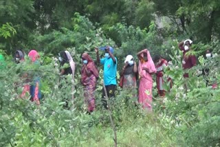 People gathered to be vaccinated in the pouring rain!