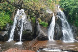 The park, which was opened without proper notice in Courtallam: a rare tourist attraction!