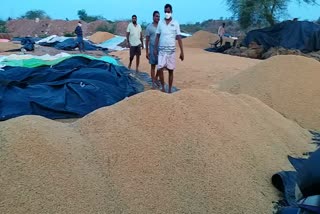 Imposition of cuts in grain purchases in Karimnagar