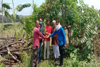 Plantation program on Teachers Day