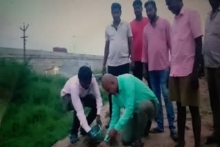 Planting of tree saplings in the lake side by tiruvallur social workers