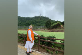 World Environment Day: PM Narendra Modi urges people to preserve planet's rich biodiversity biodiversity Pm on environment day ലോക പരിസ്ഥിതി ദിനം 