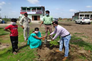 Plantation in Shajapur