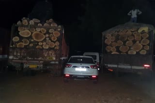 Car escorting seized, trucks full of illegal wood, Dungarpur