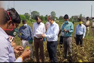 Central agricultural team inspected crops