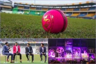 pink ball test news day night test news team india news പിങ്ക് ബോള്‍ ടെസ്റ്റ് വാര്‍ത്ത ഡേ നൈറ്റ് ടെസ്റ്റ് വാര്‍ത്ത ടീം ഇന്ത്യ വാര്‍ത്ത