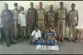 Two persons arrested for hunting wildlife in Vellore