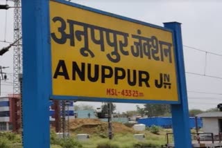 anuppur