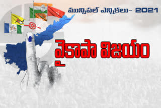 ycp municipal elecitons