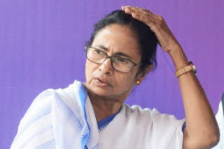 tmc-manifesto-release-delayed-again