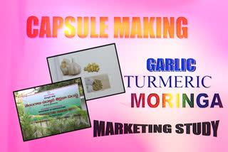 capsule making for marketing study