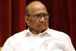 ncp leader sharad pawar