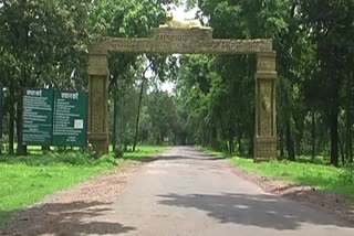 core area of ​​achanakmar tiger reserve is not safe for wildlife