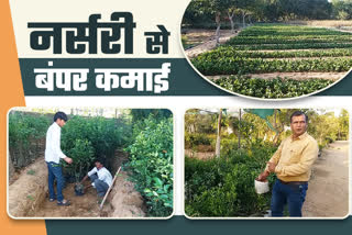 nursery industry in india,  nursery industry in rajasthan