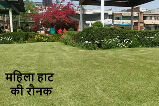 north mcd decorated Mahila Haat Park in DELHI