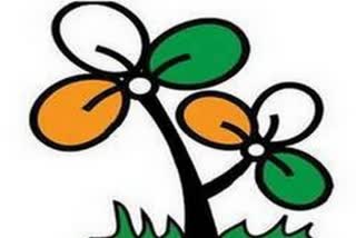 Trinamool Congress to not release election manifesto today