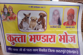 Bhandara organized for dogs