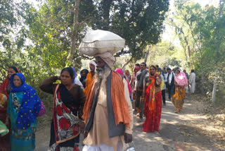 सीतापुर में 84 कोसी परिक्रमा शुरू.