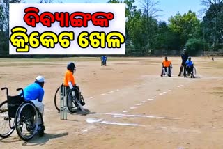 Cricket is playing for Divyang with the help of wheel chair