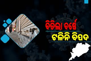 ନାକେଦମ କଲା ଭାଇରସ୍, କଲବଲ ହେଲେ ସାଢେ ଚାରି କୋଟି