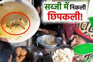 kachori video viral in bharatpur,  bharatpur video viral