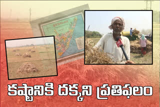 paddy farmers face severe procurement problems in srikakulam